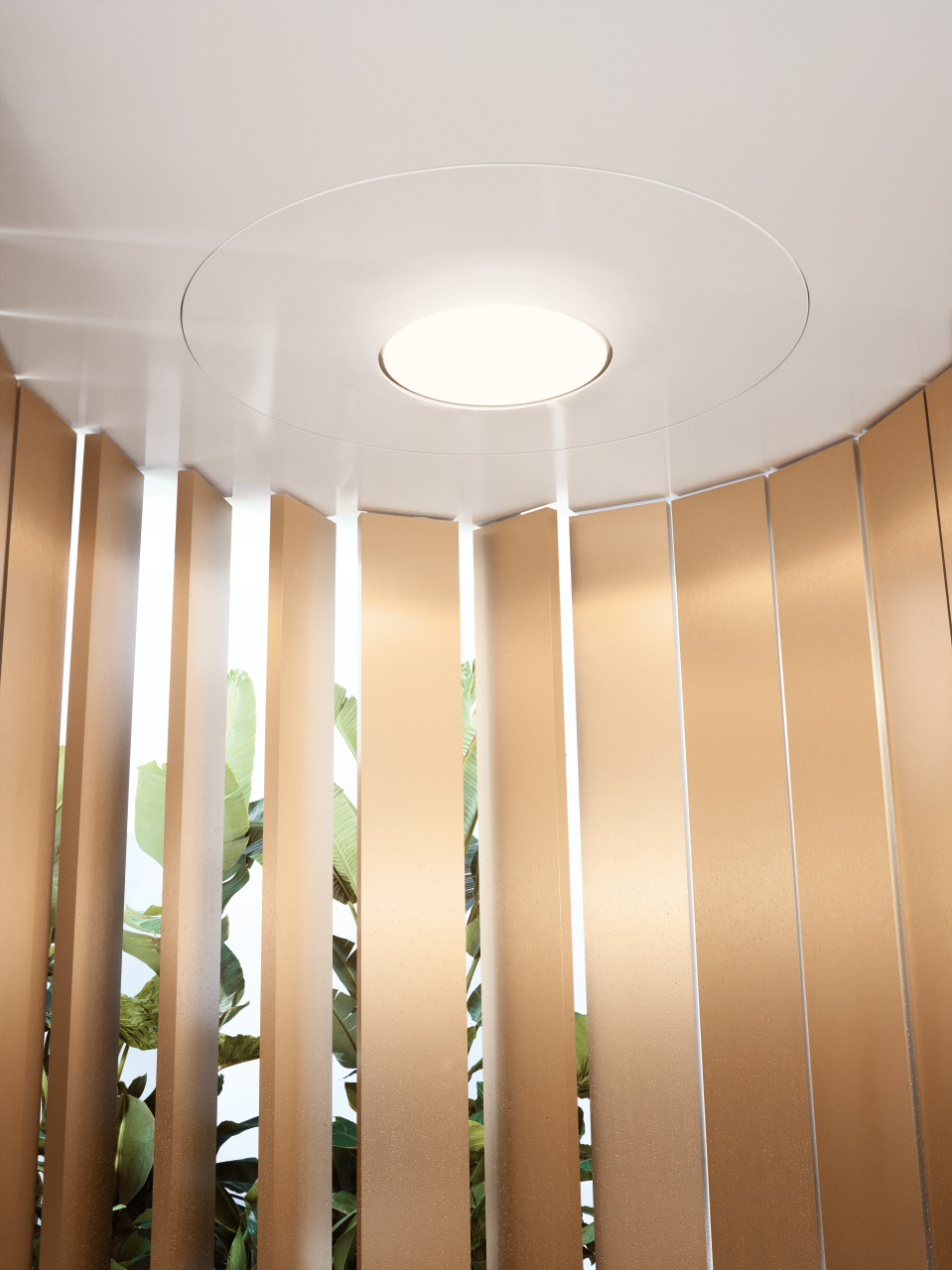 DORNBRACHT Aquamoon Rainmoon